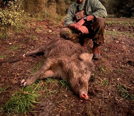 A man kneeling down next to a dead boar.