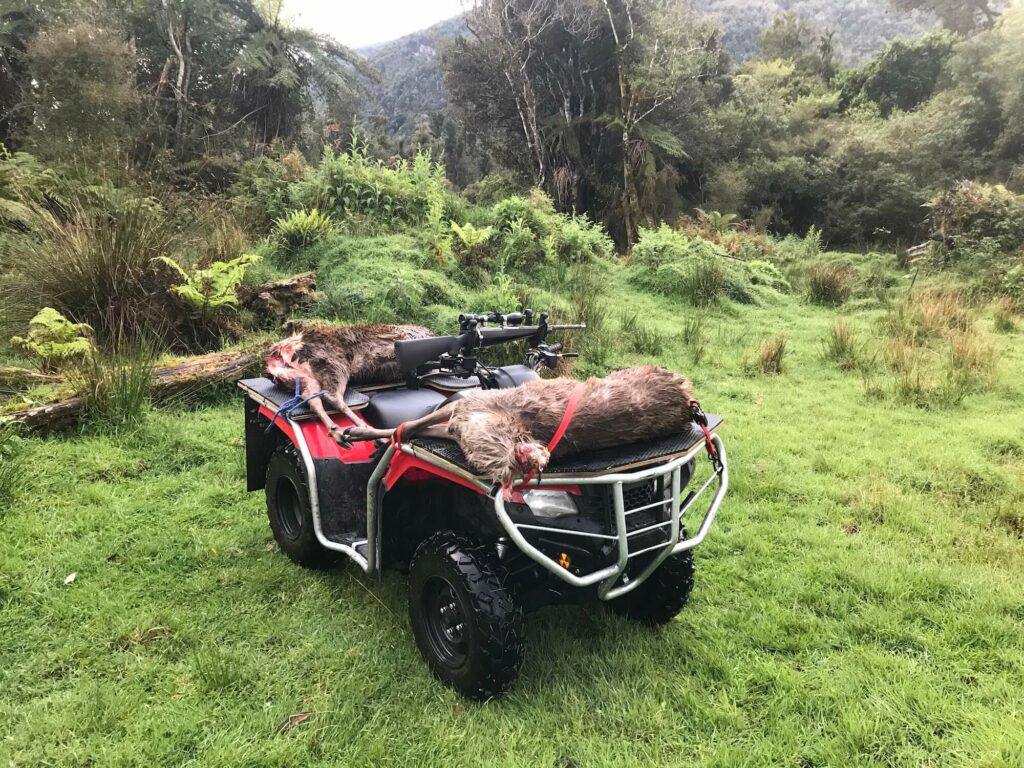 An atv parked in a grassy area with a deer on it.