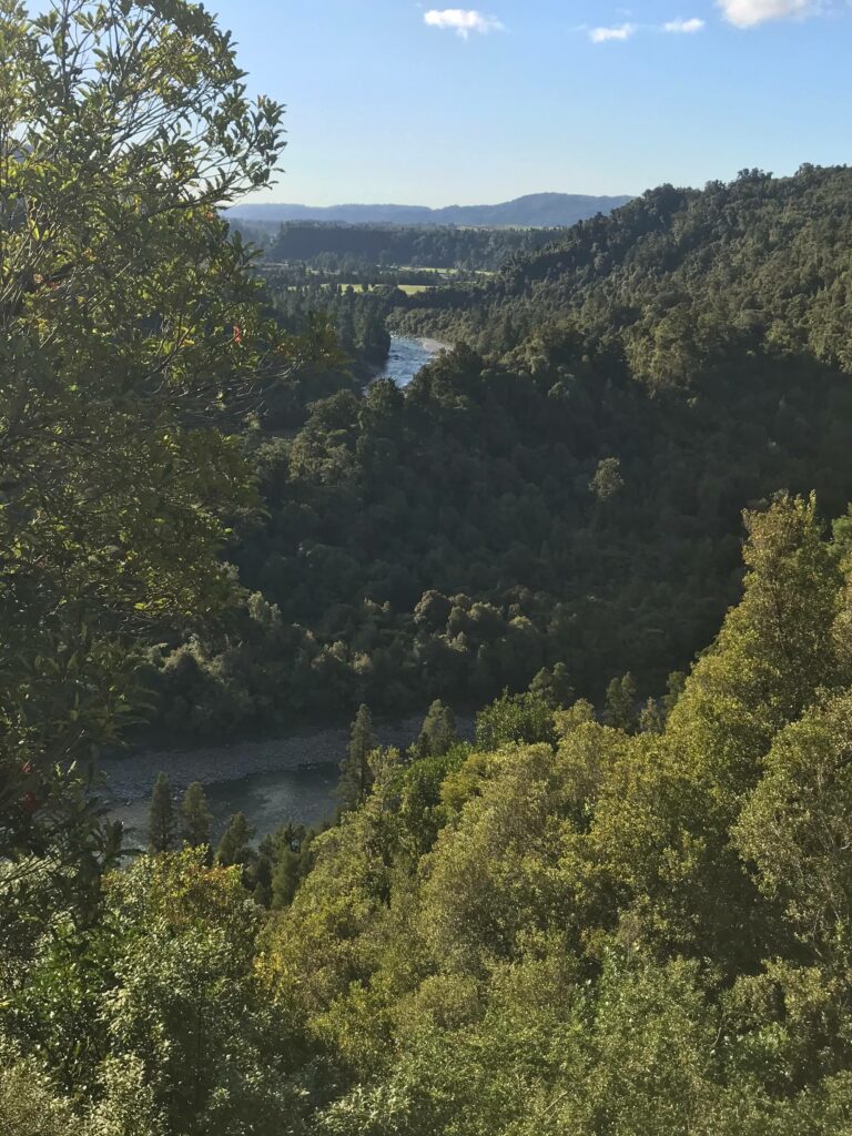 A view of a valley with trees and a river.